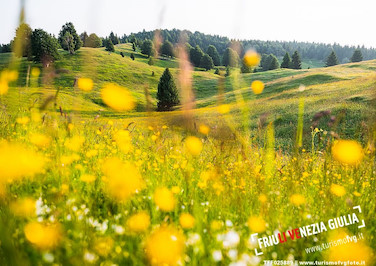 Image for: Biglietto Pedoni Polo di Piancavallo